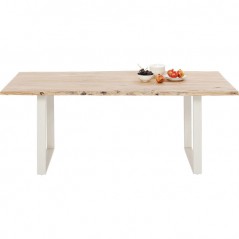 Table Harmony Silver 200x100